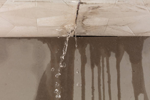 Professional Water Extraction technician working in Luebbering, MO
